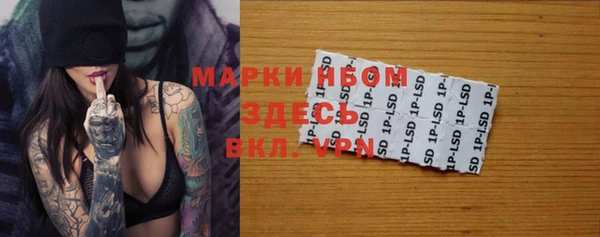 кокс Щигры