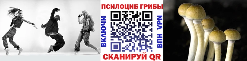 Галлюциногенные грибы ЛСД  где можно купить   гидра tor  Кущёвская 